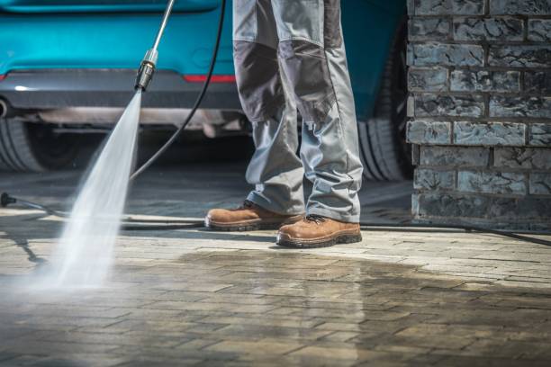 Best Pre-Holiday Cleaning  in Pierson, FL